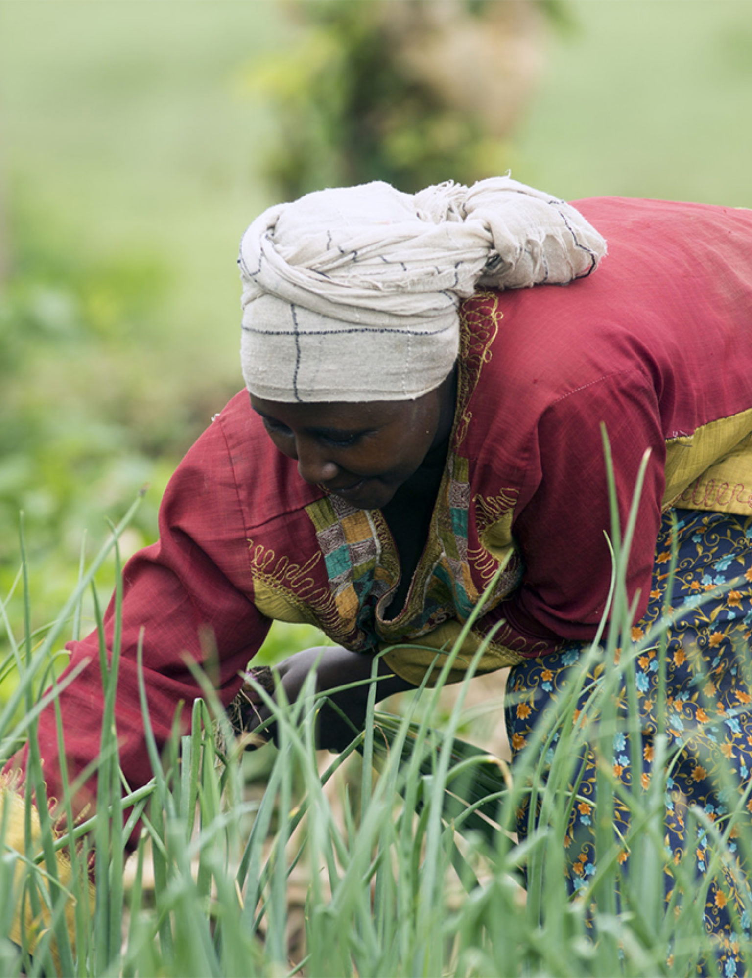 Rwanda : « Un pays au travail et déterminé à atteindre des objectifs ambitieux »