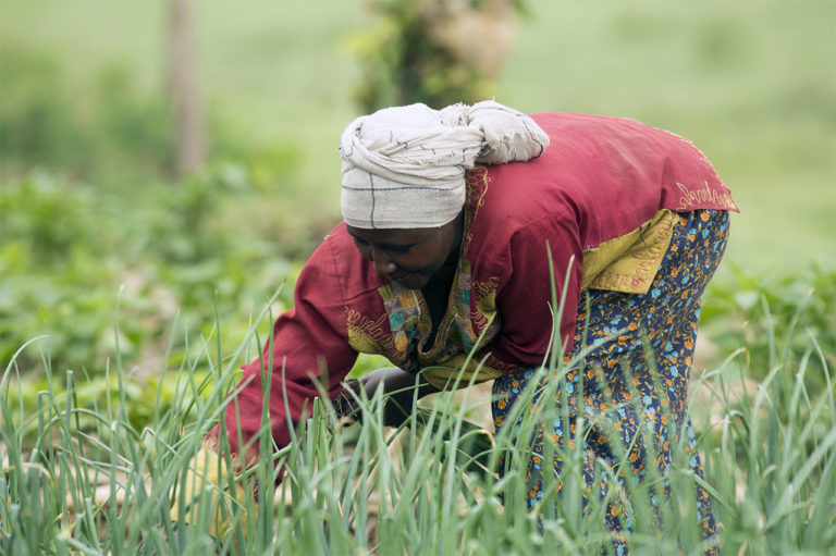 Rwanda : « Un pays au travail et déterminé à atteindre des objectifs ambitieux »